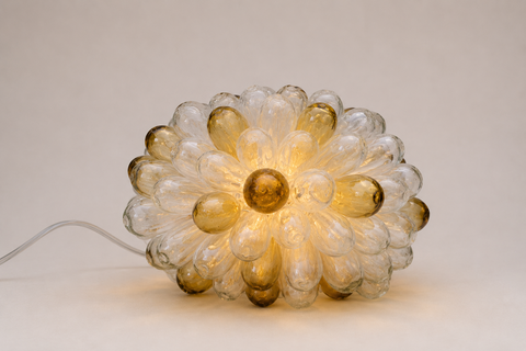 De druiventros lamp