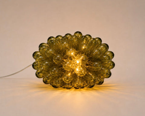 De druiventros lamp